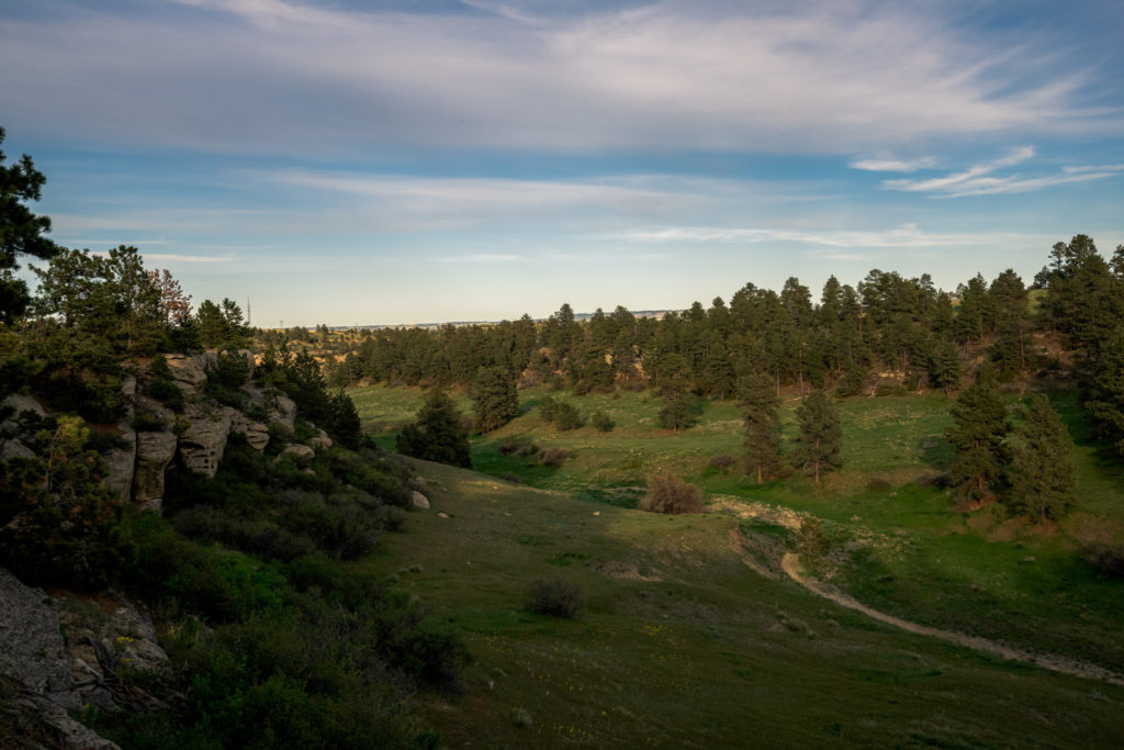 Treeline view of the Timbers on Alkali Creek