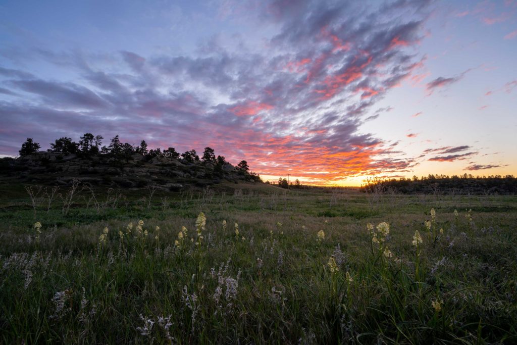 The Timbers on Alkali Creek property