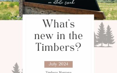 What’s new in the Timbers?