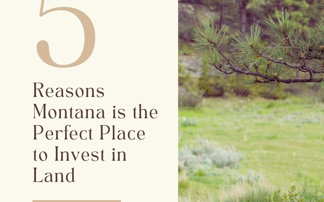 5 Reasons Montana is the Perfect Place to Invest in Land: From Wide Open Spaces to Future Opportunities