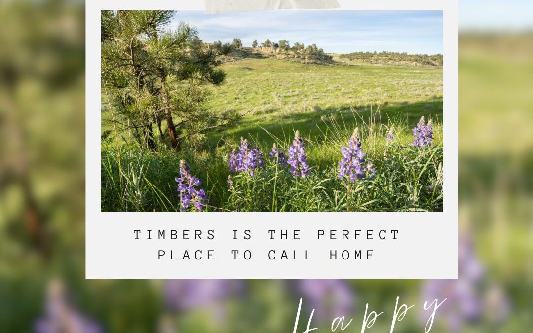 Why the Timbers at Alkali Creek is the Perfect Place to Call Home This Holiday Season