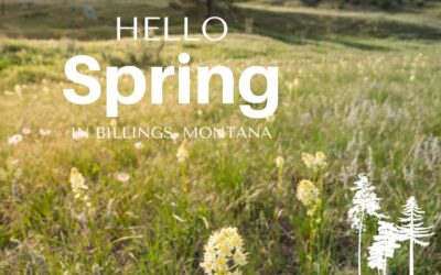 From Wildflowers to Wide Open Spaces: What Makes Spring in Billings the Best Time to Find Your Slice of Montana