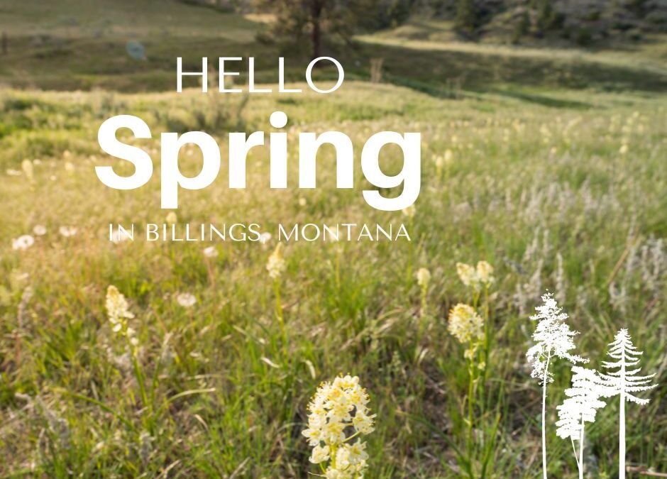 From Wildflowers to Wide Open Spaces: What Makes Spring in Billings the Best Time to Find Your Slice of Montana
